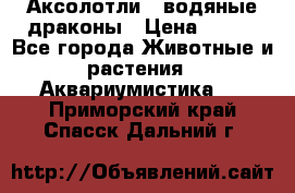 Аксолотли / водяные драконы › Цена ­ 500 - Все города Животные и растения » Аквариумистика   . Приморский край,Спасск-Дальний г.